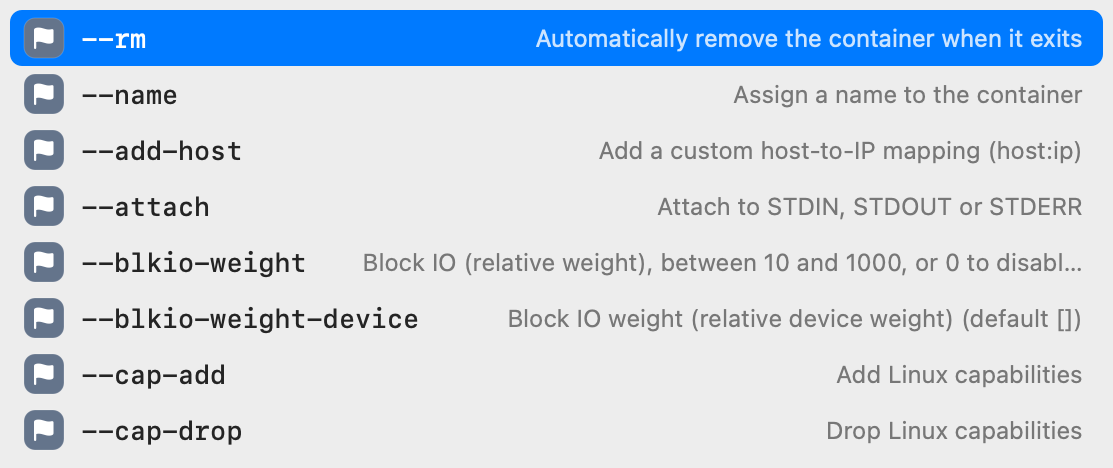 Popup listing docker run options with a description for each one